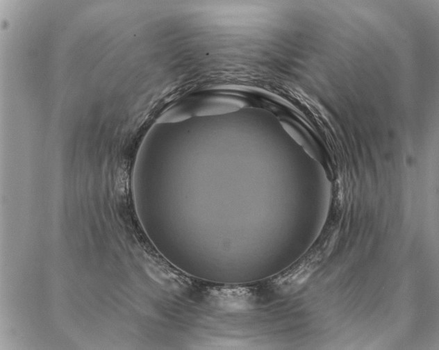 X0000087350517200704201125