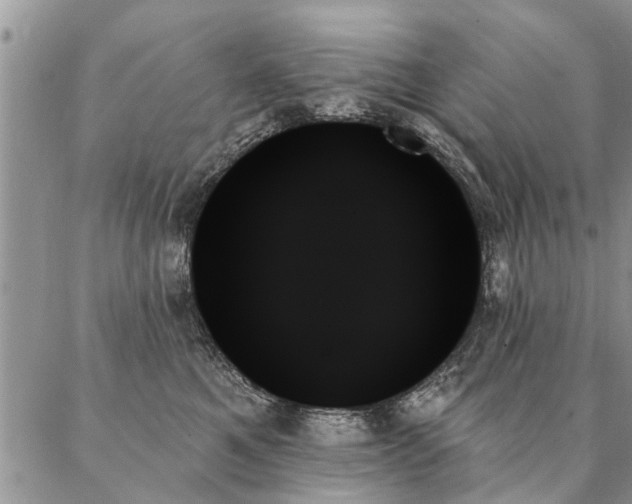 X0000087350521200704201125