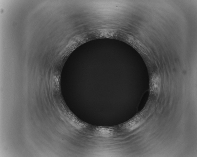 X0000087350522200704201125
