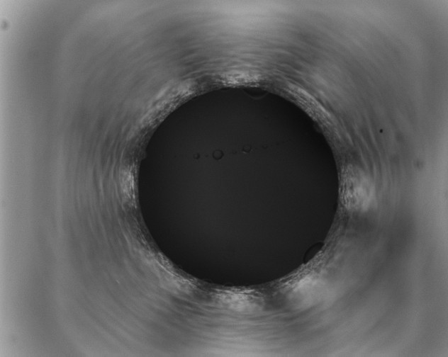 X0000087350523200704201125