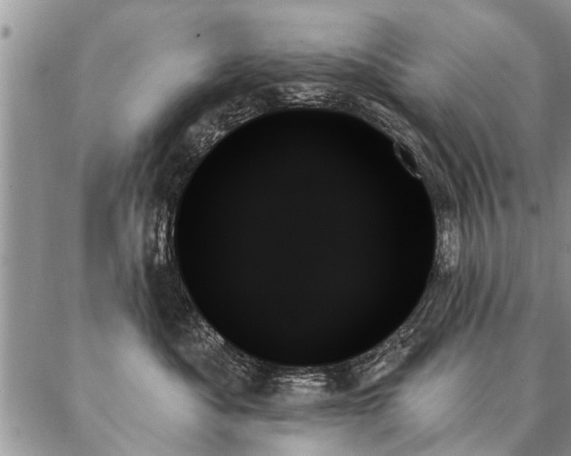 X0000087350525200704201125