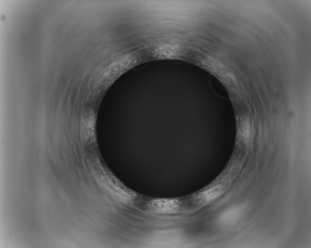 X0000087350526200704201125