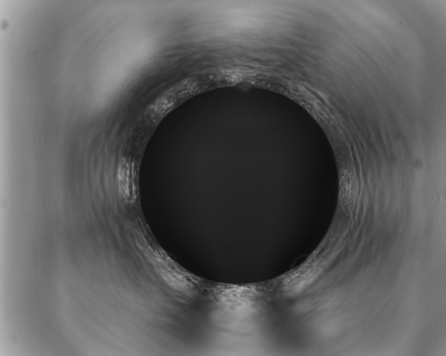 X0000087350527200704201125