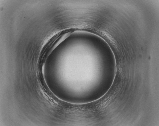 X0000087350532200704201124