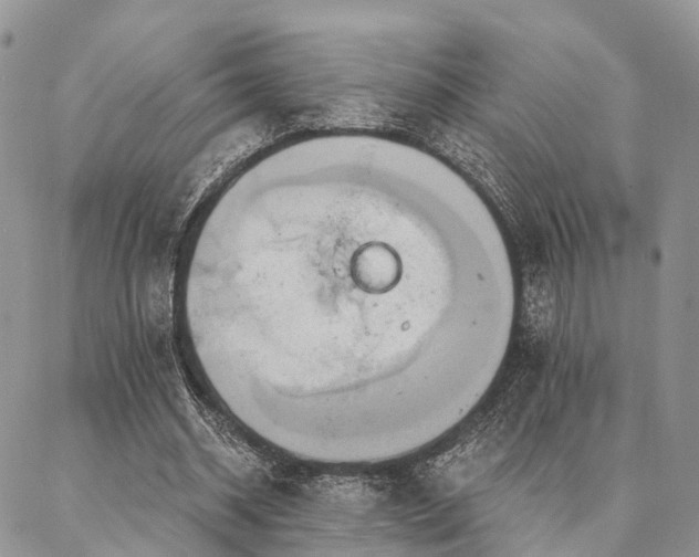X0000087350534200704201124
