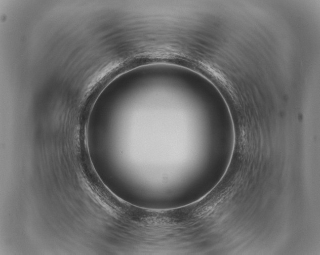 X0000087350535200704201124