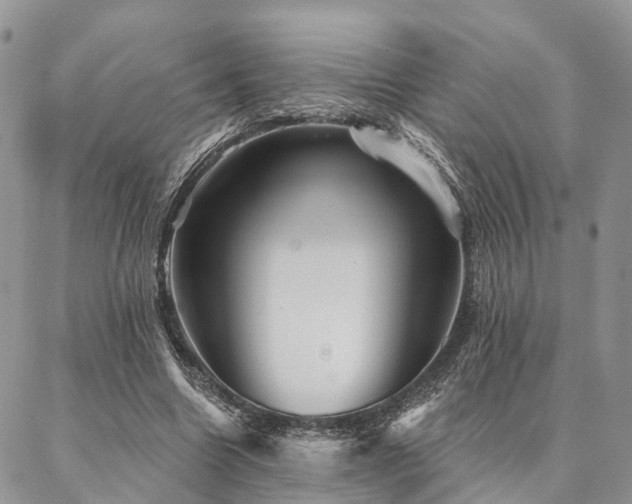 X0000087350538200704201124