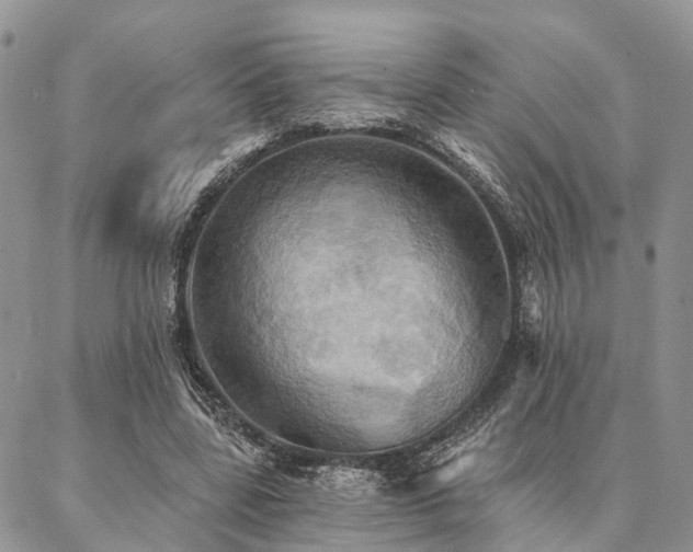 X0000087350539200704201124