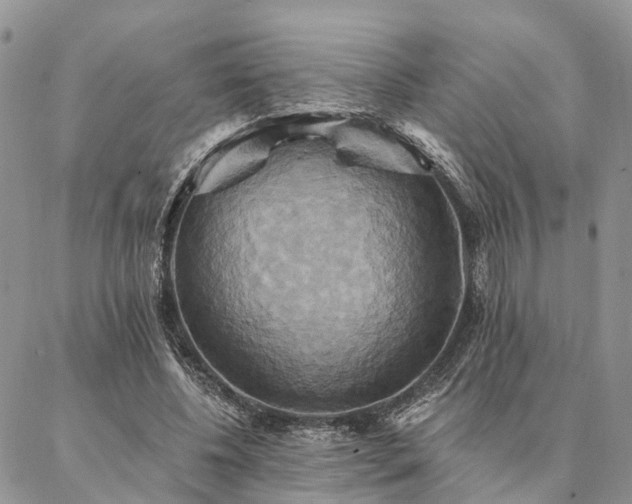 X0000087350540200704201124