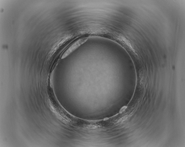 X0000087350542200704201124