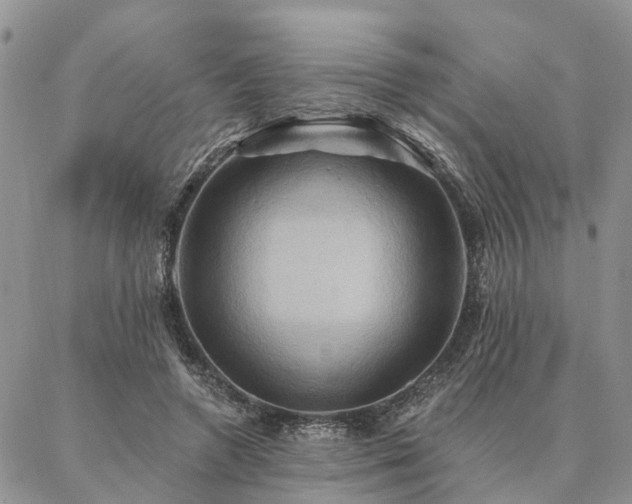 X0000087350546200704201125