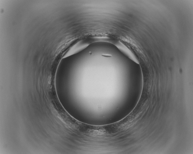 X0000087350548200704201125