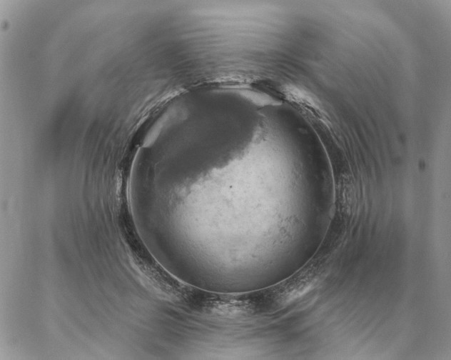 X0000087350550200704201125
