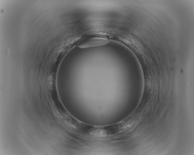 X0000087350551200704201125