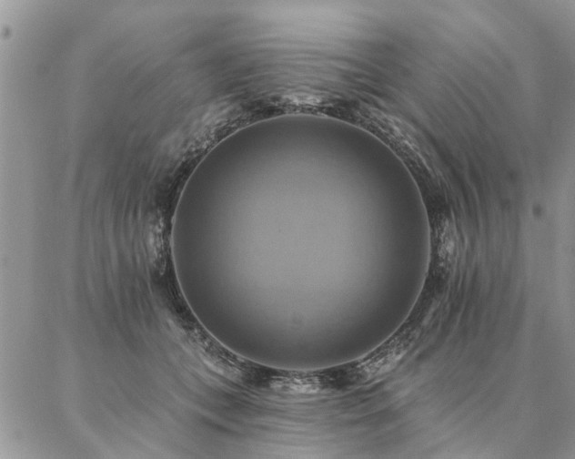 X0000087350559200704201125