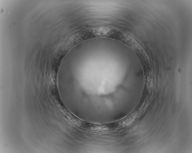 X0000087350561200704201125