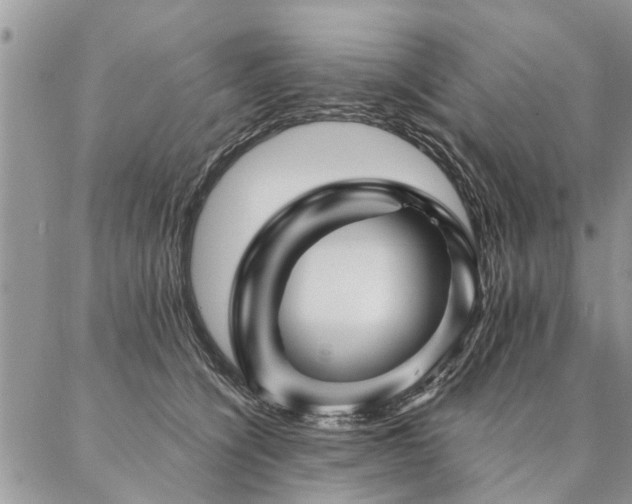X0000087350564200704201125