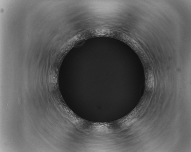 X0000087350569200704201125