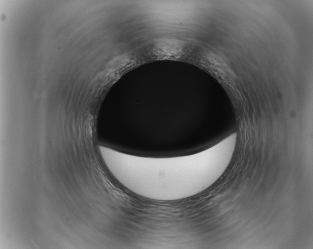 X0000087350570200704201125