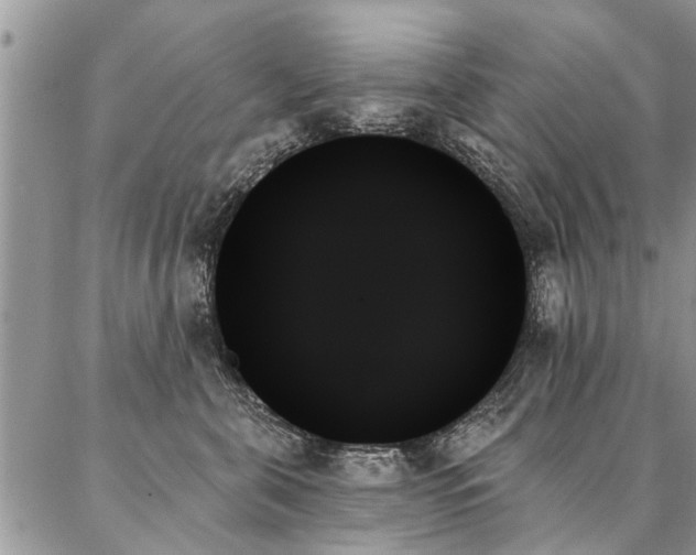 X0000087350571200704201125