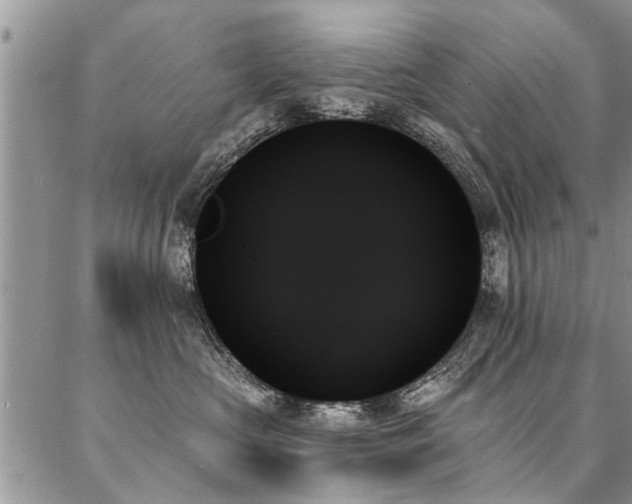 X0000087350573200704201125