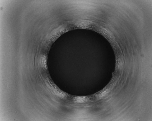 X0000087350575200704201125
