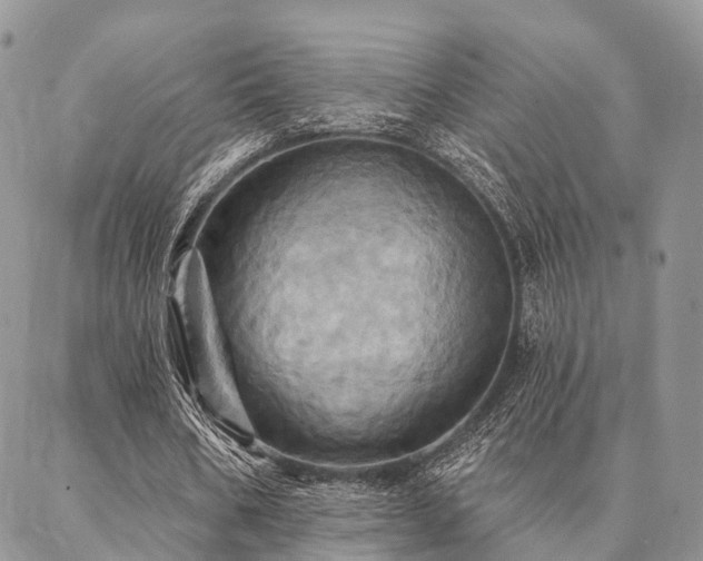 X0000087350578200704201124