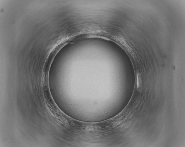 X0000087350579200704201124