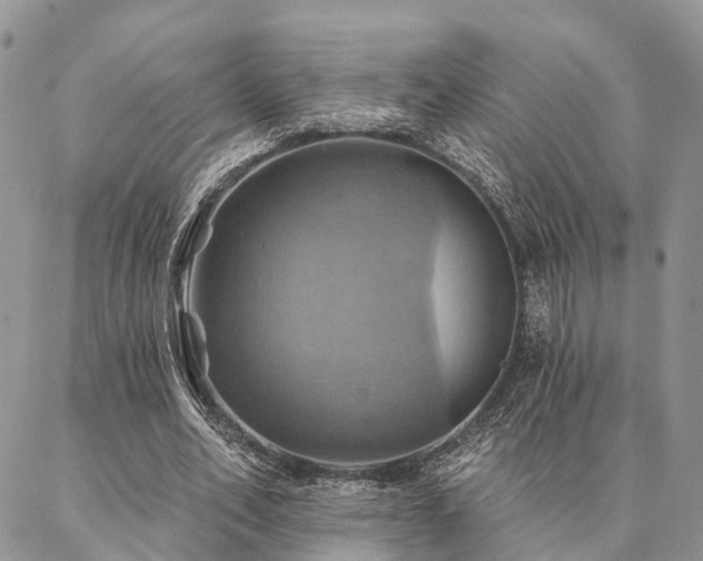 X0000087350582200704201124