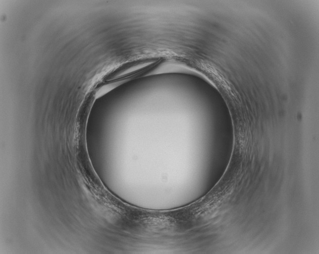 X0000087350583200704201124