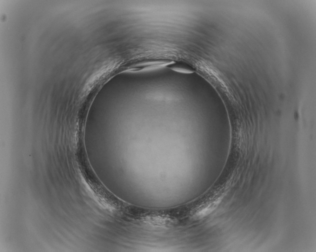 X0000087350586200704201124