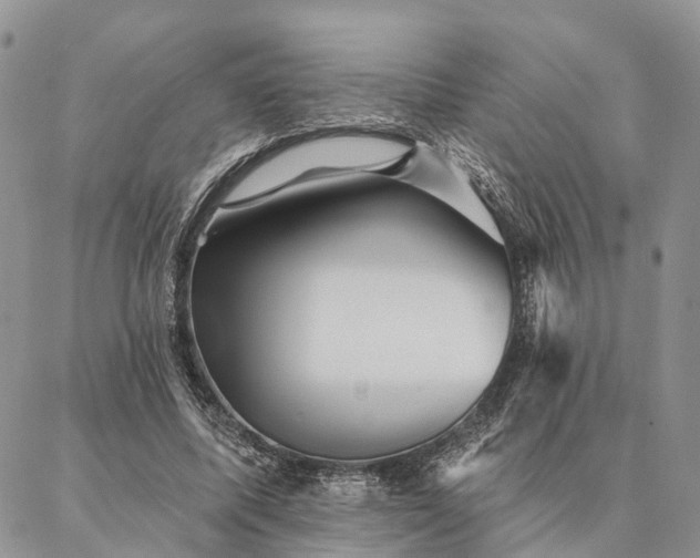 X0000087350587200704201124