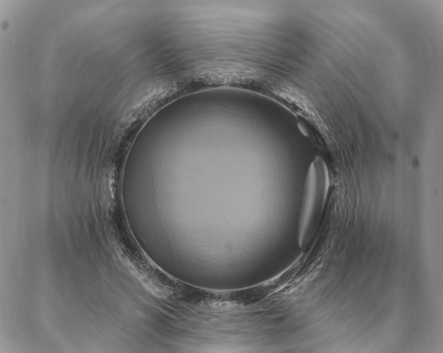 X0000087350590200704201124