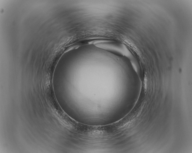 X0000087350593200704201124