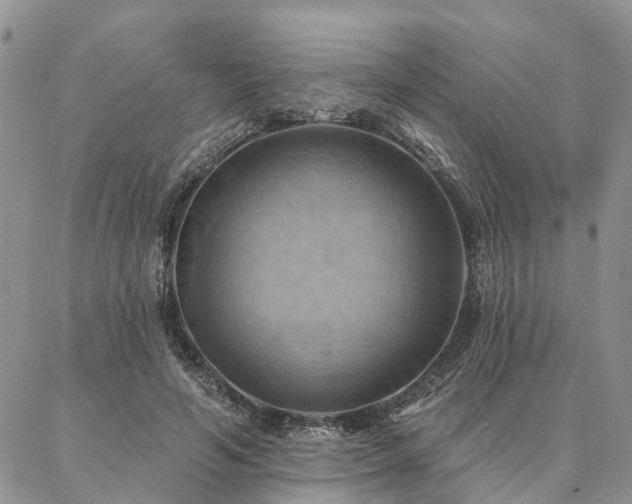 X0000087350594200704201124