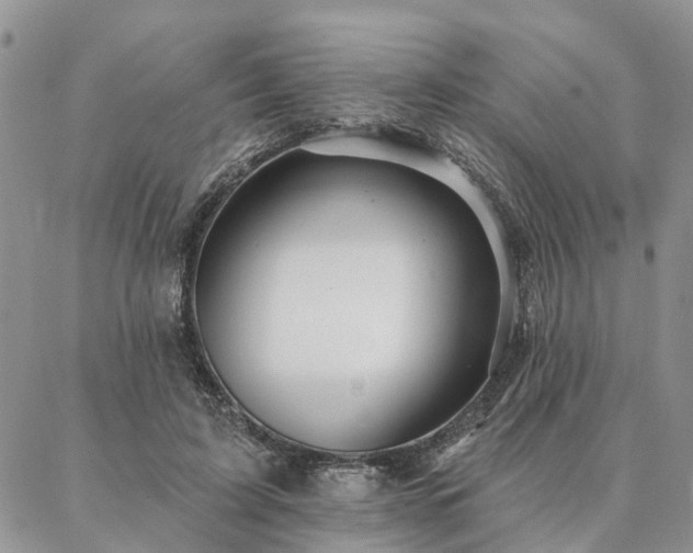 X0000087350595200704201124