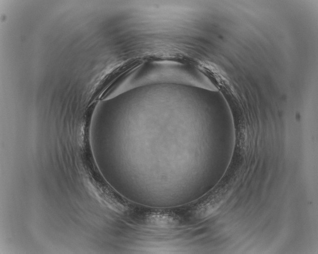 X0000087350596200704201124