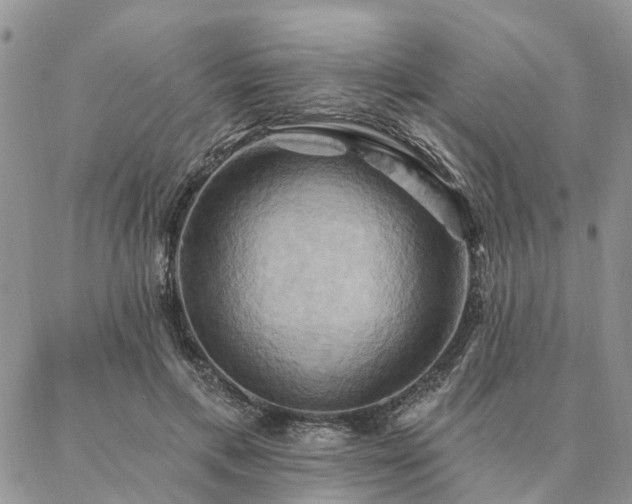 X0000087350597200704201124
