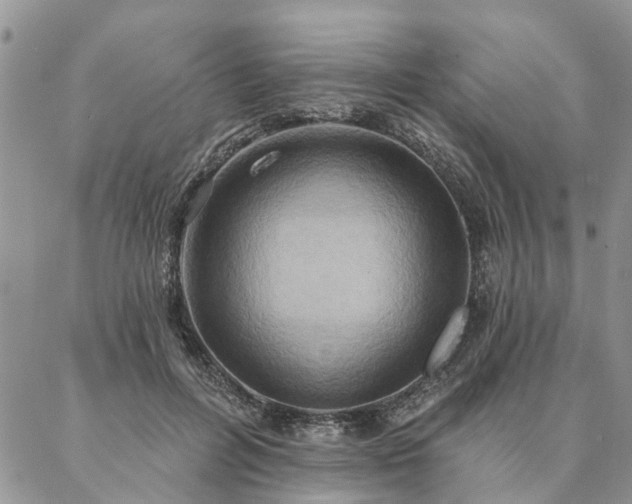 X0000087350600200704201124