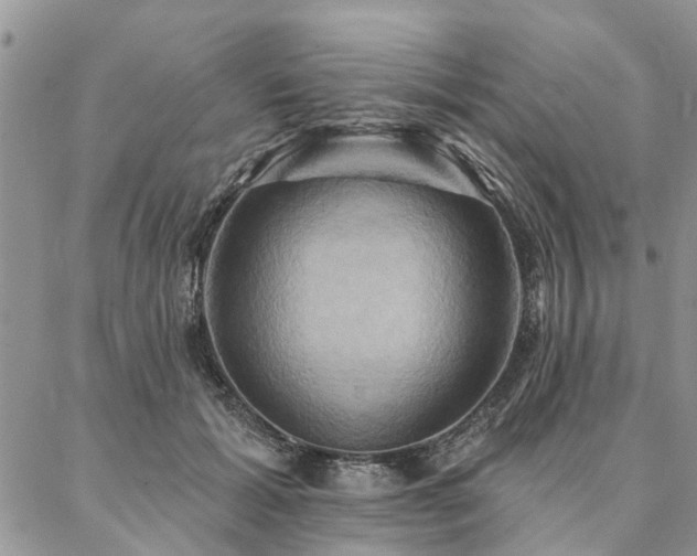 X0000087350605200704201124