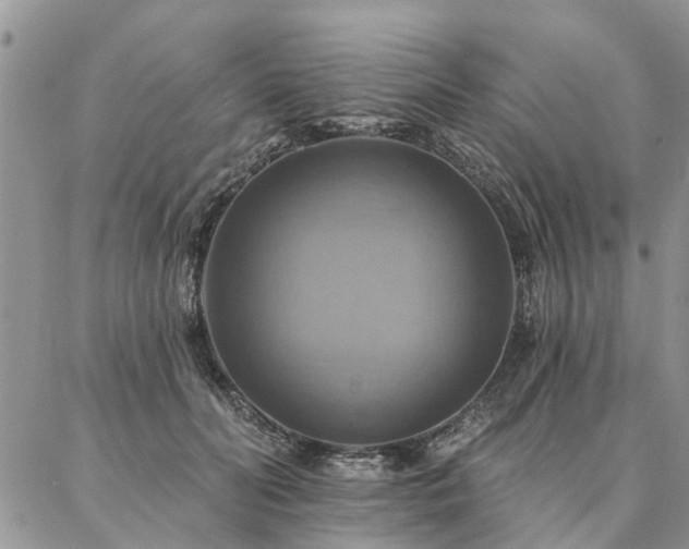 X0000087350606200704201124