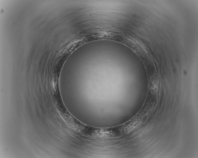 X0000087350607200704201124