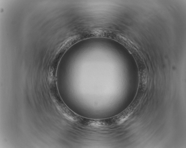 X0000087350611200704201124