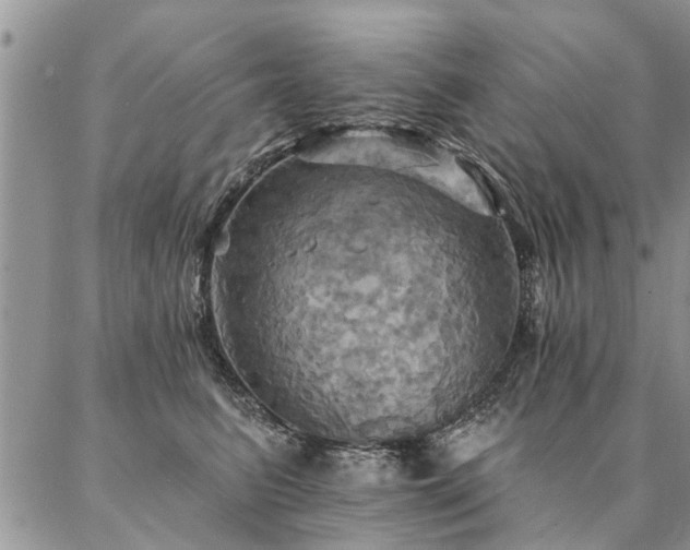 X0000087350615200704201124