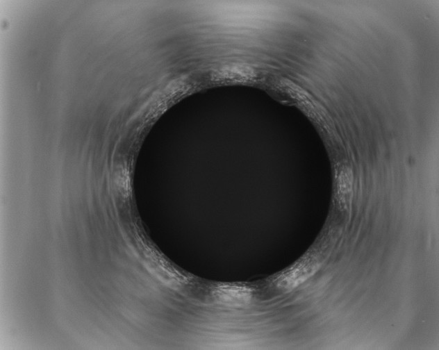 X0000087350617200704201124