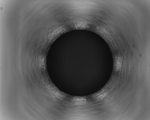 X0000087350619200704201124