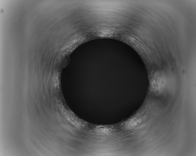 X0000087350620200704201124
