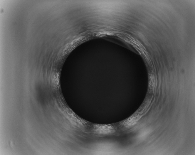 X0000087350621200704201124
