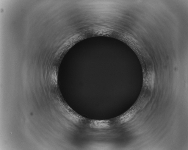 X0000087350622200704201124