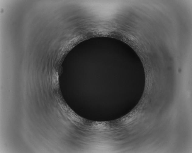 X0000087350624200704201123
